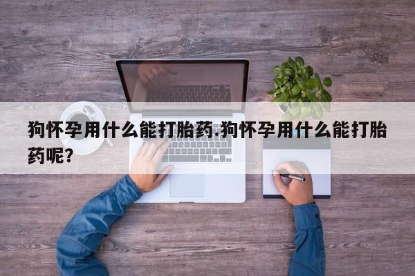 卖打胎药的医生微信号狗怀孕用什么能打胎药.狗怀孕用什么能打胎药呢？