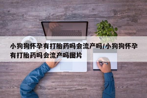 卖打胎药的医生微信号小狗狗怀孕有打胎药吗会流产吗/小狗狗怀孕有打胎药吗会流产吗图片
