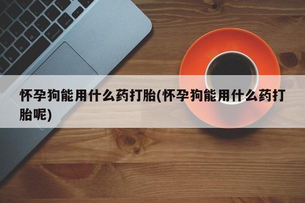 卖打胎药的医生微信号怀孕狗能用什么药打胎(怀孕狗能用什么药打胎呢)