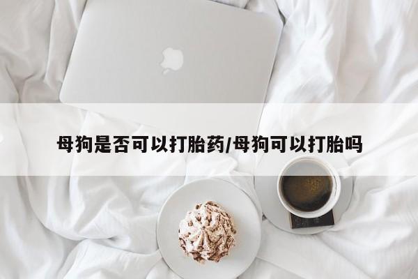 卖打胎药的医生微信号母狗是否可以打胎药/母狗可以打胎吗